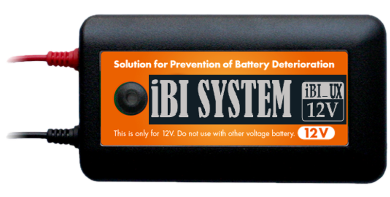 ibI System main